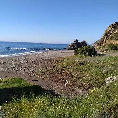 Mediterranean Sweet